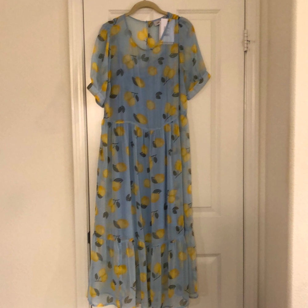 Maxi sheer dress with lemon graphics